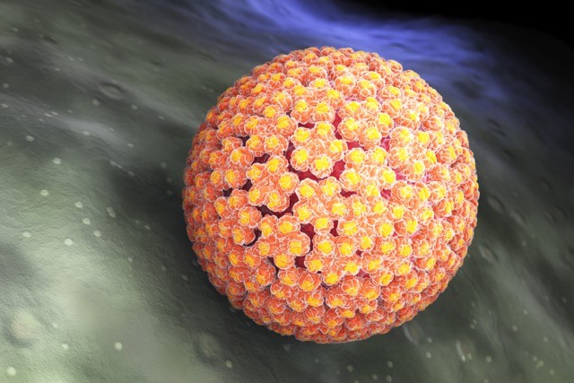 HPV: egy daganatot okozó vírus.